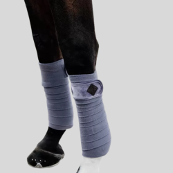 KENTUCKY Bandage de polo Velvet violet