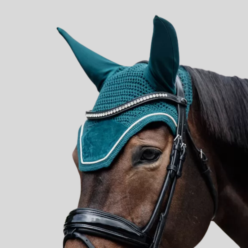KENTUCKY Bonnet wellington Velvet