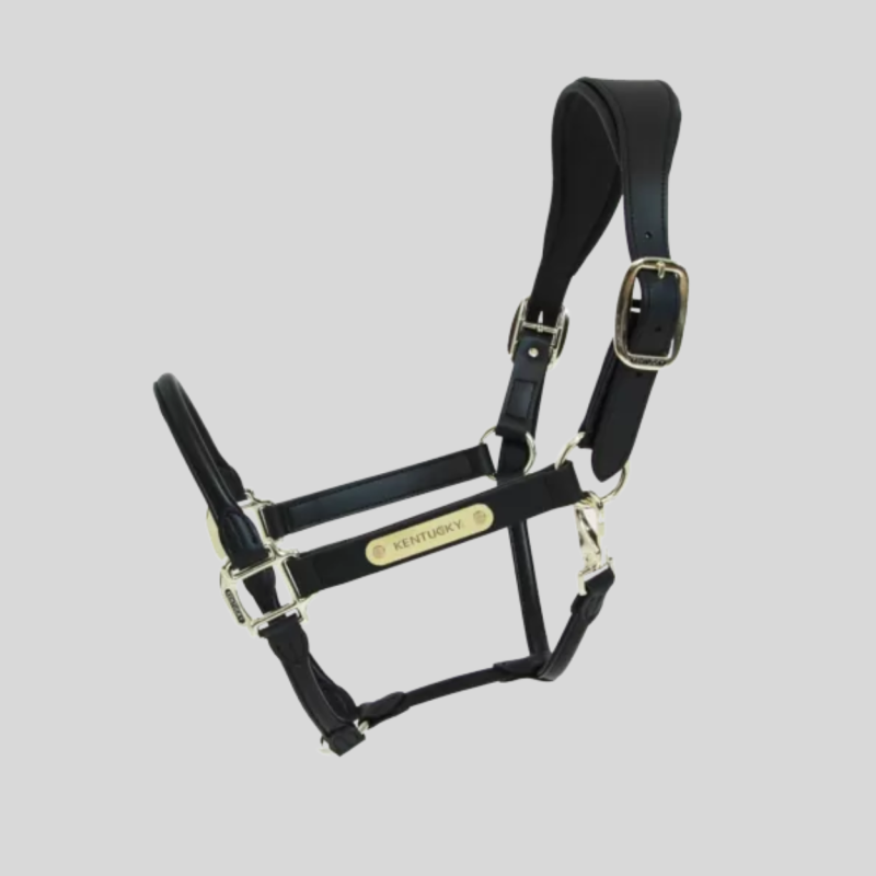 KENTUCKY Anatomic Leather Halter Black