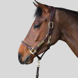 KENTUCKY Anatomic Leather Halter