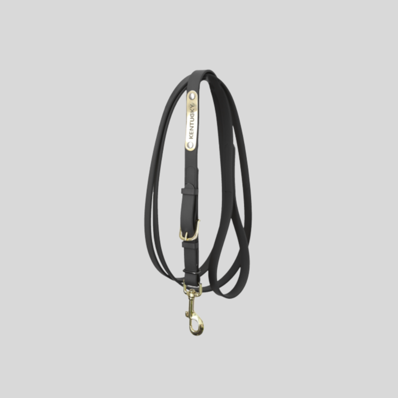 KENTUCKY Presentation Lead Black 2m