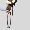 KENTUCKY Presentation Lead 2m