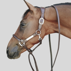 KENTUCKY Leather Covered Chain Lead - Kentucky - Foolfashion.ch