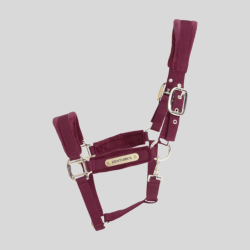 KENTUCKY Velvet Halter