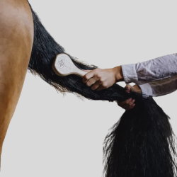 KENTUCKY Brosse à Crinière