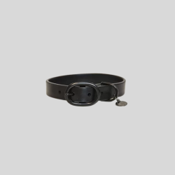 KENTUCKY Soft Rubber dog collar