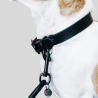 KENTUCKY Collier pour chien Soft Rubber