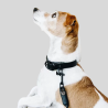 KENTUCKY Hundehalsband Soft Rubber