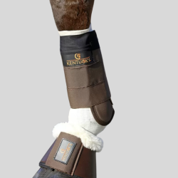 KENTUCKY Socke Tendon Grip in Streifen