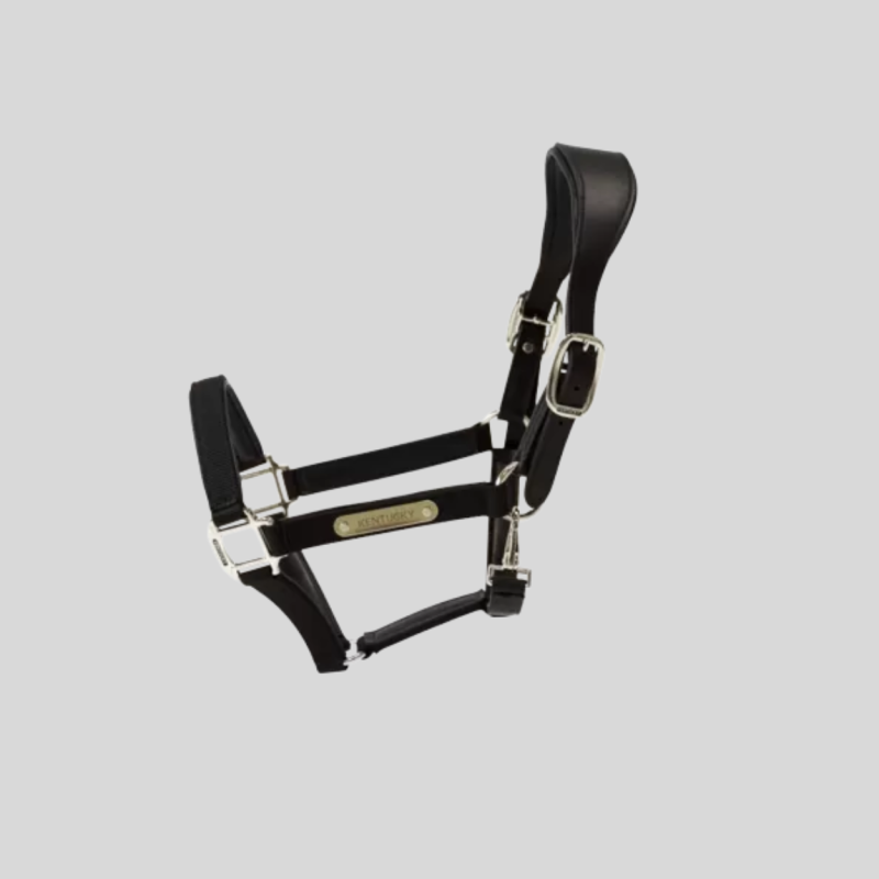 KENTUCKY Anatomical Nylon Halter
