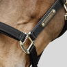 KENTUCKY Anatomisch Nylon Halfter - Kentucky - Foolfashion.ch