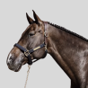 KENTUCKY Nylon Anatomic Halter - Kentucky - Foolfashion.ch