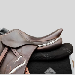 KENTUCKY Amortisseur Correction Impact