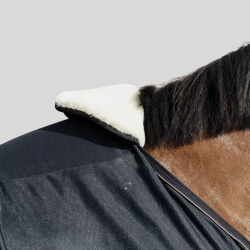 KENTUCKY Horse bib Schutz Widerrist Schaf