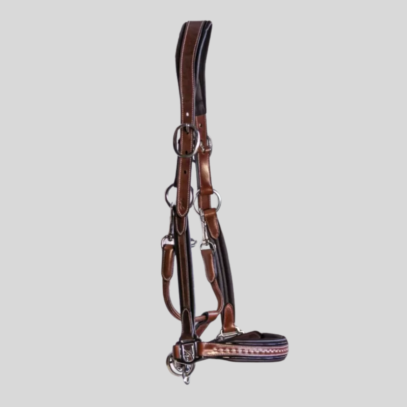 PENELOPE Licol Point Sellier