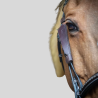 PENELOPE Oeilleres Blinkers