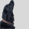 PENELOPE Dog Collar Saddle Stitch