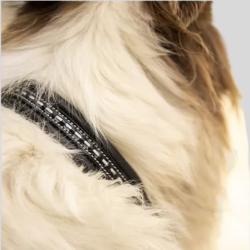 PENELOPE Dog Collar Saddle Stitch