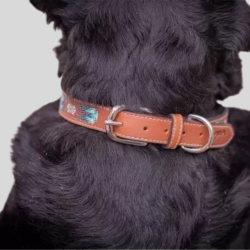 PENELOPE Collier Pour Chien Pearl