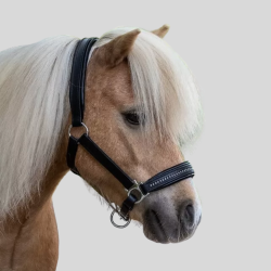 Waldhausen star Lederhalfter diamond