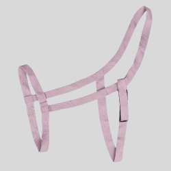 WALDHAUSEN Licol de parc