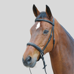 WALDHAUSEN Star Bridle Bitless