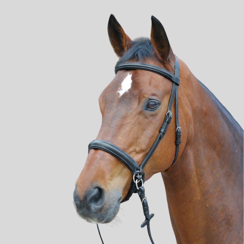 WALDHAUSEN Star Bridle Bitless
