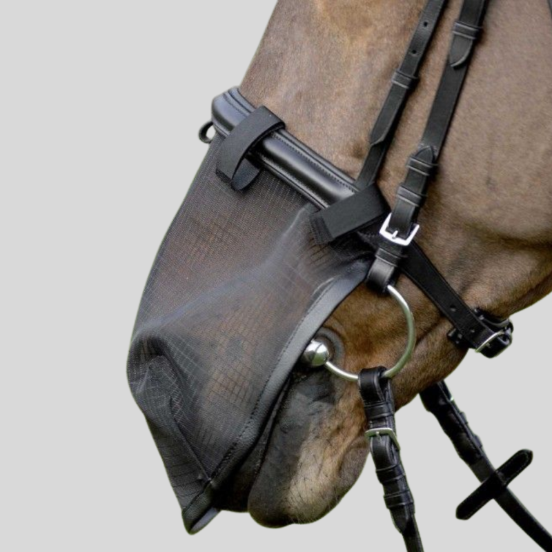 WALDHAUSEN Protection Anti-Mouche Du Chanfrein, Avec Protection UV