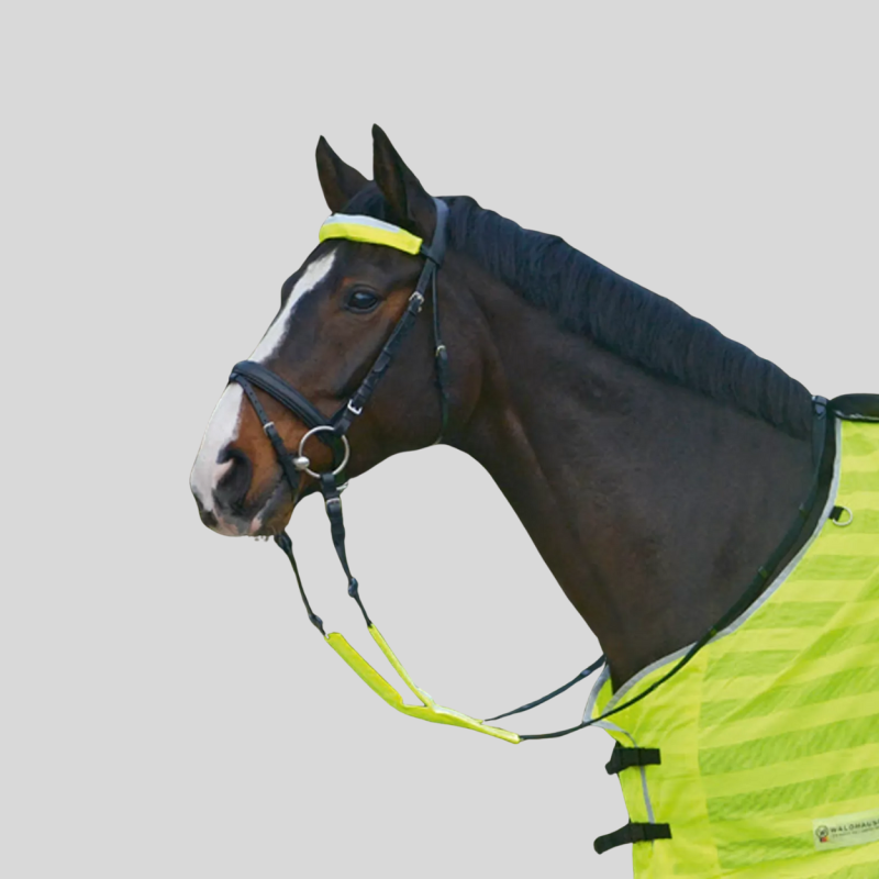 WALDAUSEN Set pour bridons Reflex