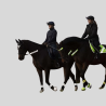 WALDAUSEN Set pour bridons Reflex