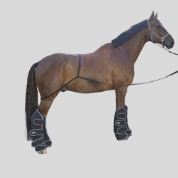 WALDHAUSEN Verbindungsmittel Zum Laden