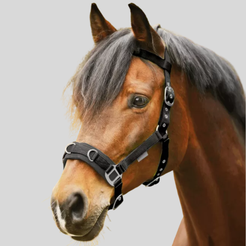 WALDHAUSEN Halter for lanyard