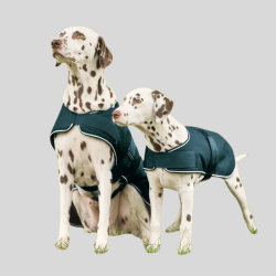 WALDHAUSEN Regendecke für Hunde
