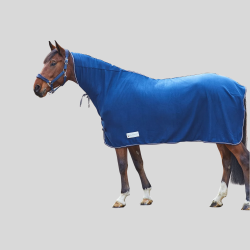 WALDHAUSEN Chemise avec encoulure