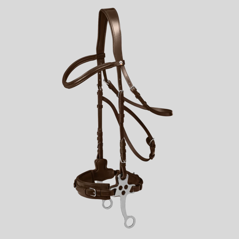 WALDHAUSEN X-Line Bridle for Hackamore