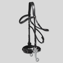 WALDHAUSEN X-Line Bridle for Hackamore