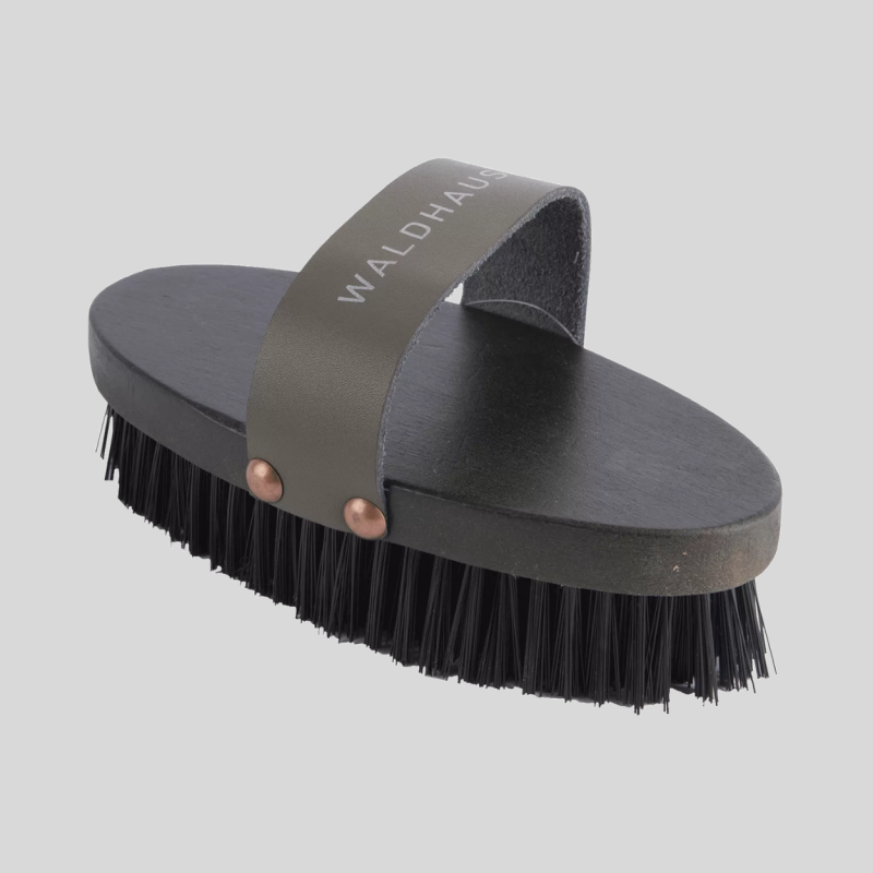 WALDHAUSEN Brosse a poils dur
