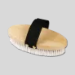 WALDHAUSEN Medium Brush