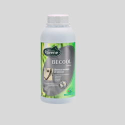 RAVENE Becool Solution 500ml