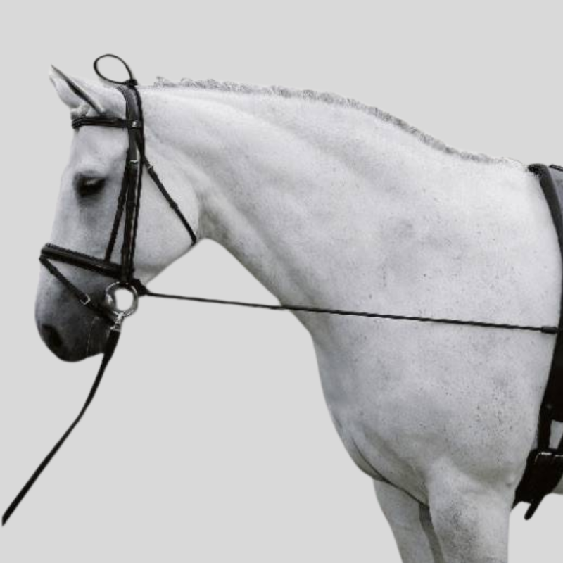 NORTON Long elastic education reins