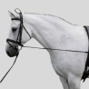 NORTON Long elastic education reins