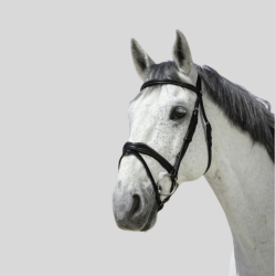 NORTON Bridon Pro Vague