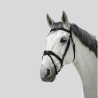 NORTON Trense Pro Vague