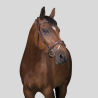 NORTON Bridle Pro Vague