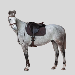 HARCOUR Karembar Tapis de selle