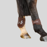 HARCOUR Maddi fetlock protectors