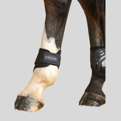 HARCOUR Maddi fetlock protectors