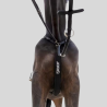 ESKADRON Martingale protection