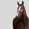 HKM Anatomic bridle