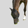 EQUITHEME Fine mesh fly mask black